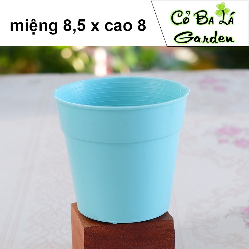 Chậu ly gờ nhựa tròn 9x8