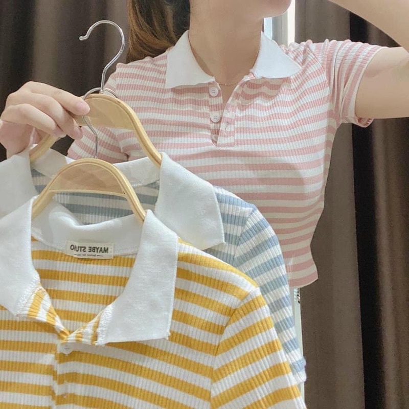 Áo Croptop Polo Có Cổ Sọc Ngang
