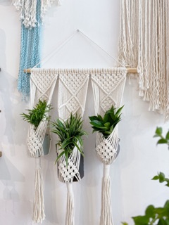 Rèm macramé treo cây trang trí 3 chậu