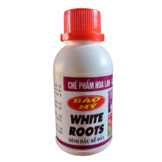 kích rể white roots báo hỷ