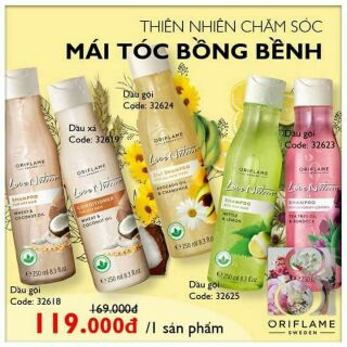 Dầu gội