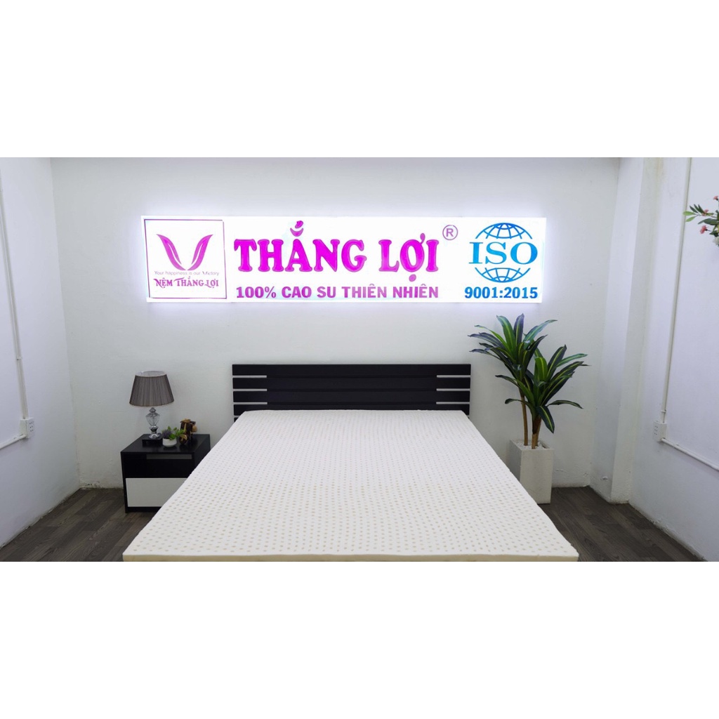 [FREESHIP] - Nệm Cao Su Non Cao Cấp Thắng Lợi [CHÍNH HÃNG BẢO HÀNH 15 NĂM]