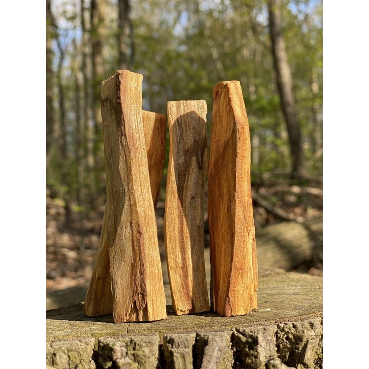Gỗ Palo Santo Peru Trắc Xanh Loại Đậm Đặc Sản Phẩm Chính Hãng 100% thanh Tẩy Năng Lượng_THẢO MỘC XÔNG NHÀ