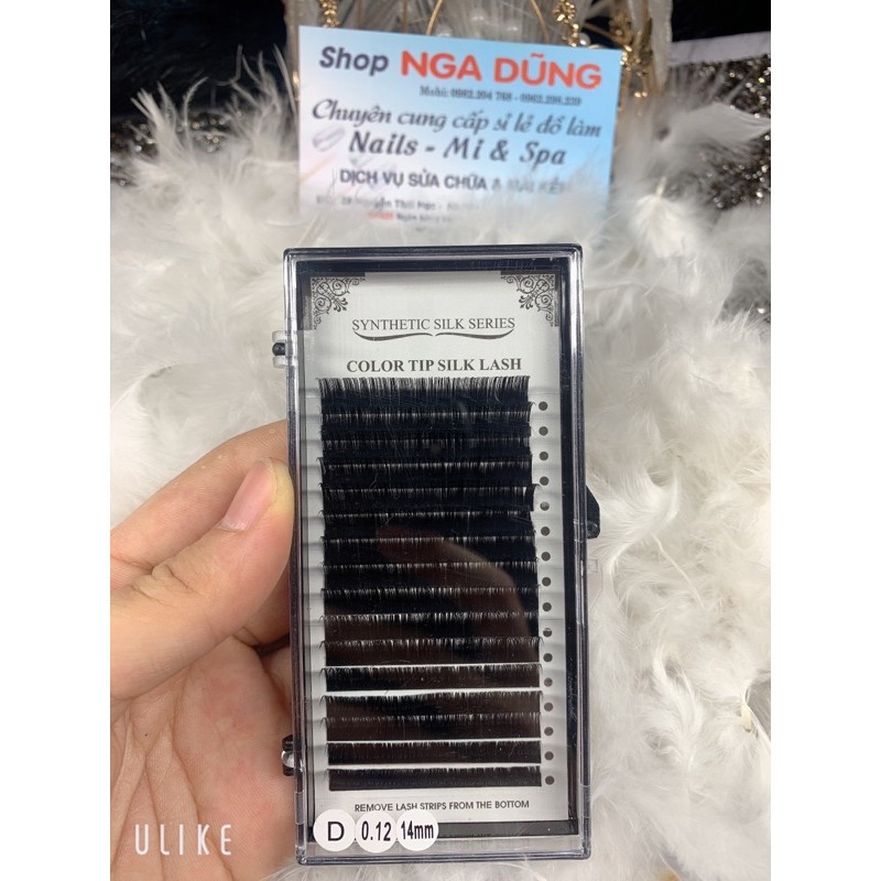 Mi color tip silk lash dày 0,12