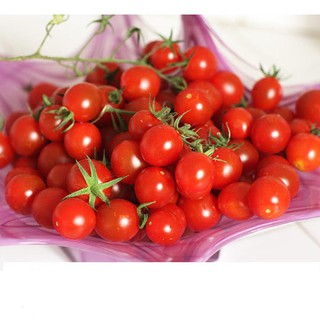 Hạt giống cà chua cherry lùn f1