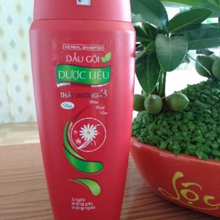 Dầu gội Thái Dương 3