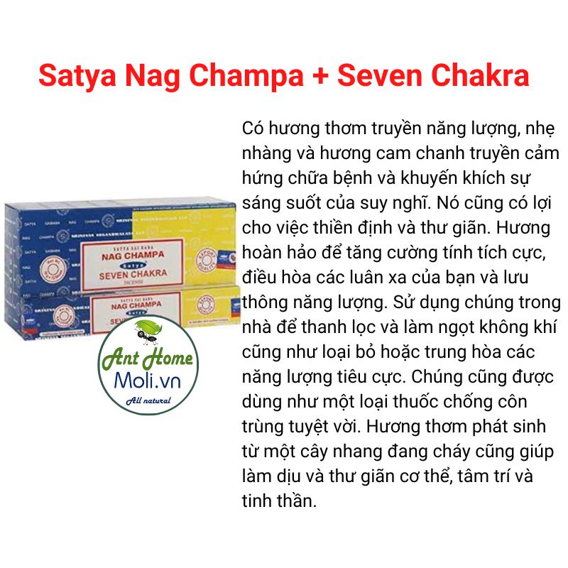Thanh Hương SATYA Nag Champa + Seven Chakra kết nối luân xâ