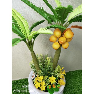 Chậu cây dừa đất sét size trung để bàn trang trí