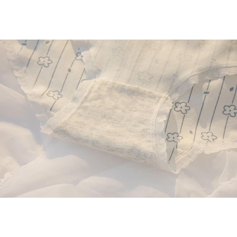 Quần Lót Nữ Cotton Kháng Khuẩn Hoa Nhí Ngang Eo Thời Trang . Hàng Loại Đẹp.