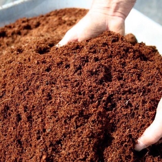 1kg mùn xơ dừa trồng rau, cây cảnh