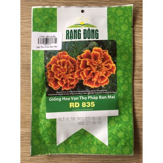 Hoa Vạn Thọ Pháp Ban Mai - Rạng Đông