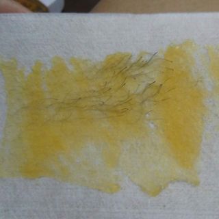 Combo sap wax mật ong Horshion