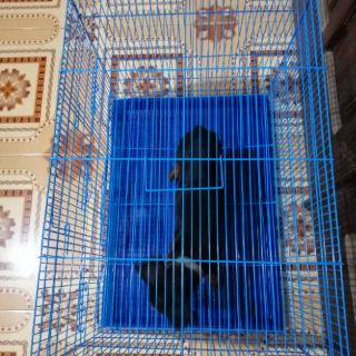 Lồng nuôi thú cưng( hamster, chó, chim, thỏ, mèo)