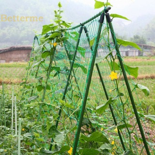Lưới giăng dàn cho cây leo