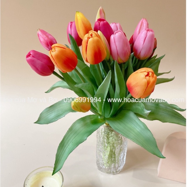 Bó 5 Bông Hoa Tulip Giả Nhiều Màu Cao Cấp Merber (Mơ &amp; Bơ) Bó 3 Bông Hoa 2 Nụ Hoa - Hoa Decor Trang Trí Nhà, P.Khách