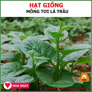 50 Gram - Hạt Mồng Tơi Lá Xanh Trang Nông