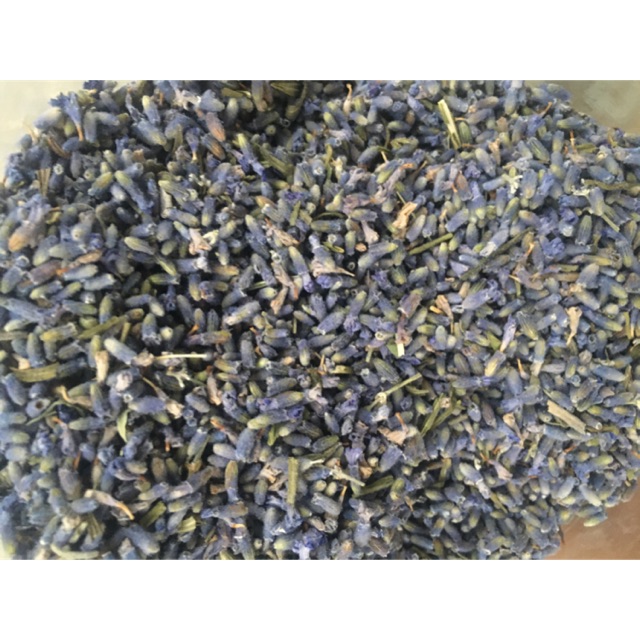 Trà hoa Lavender