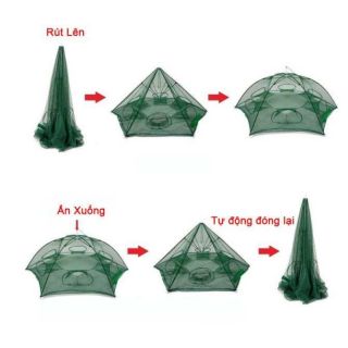 lưới bắt cá bát quái 8 cửa