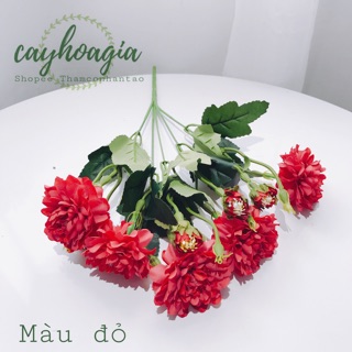 Hoa Giả - Cúc Vạn Thọ Siêu Đẹp
