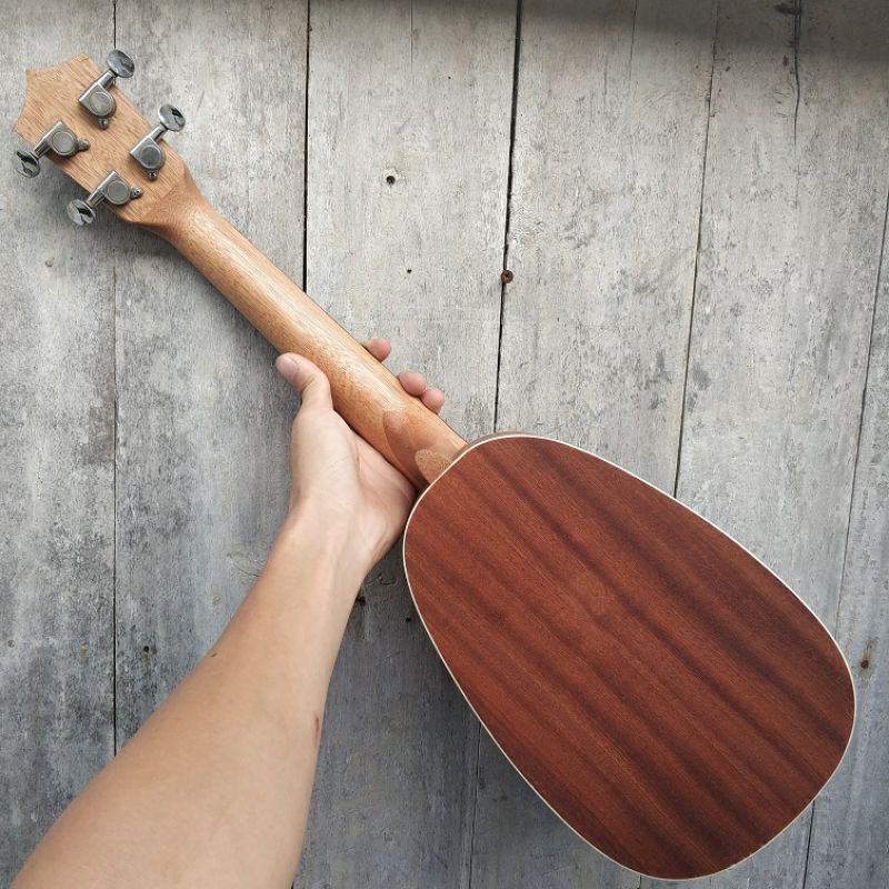 Đàn Ukulele Concert design Đặc biệt