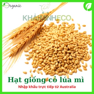 Hạt giống cỏ lúa mì, lúa mạch, cỏ mèo, nhập khẩu Úc - Hạt to, tròn, mẩy, tỷ lệ nảy mầm >95%