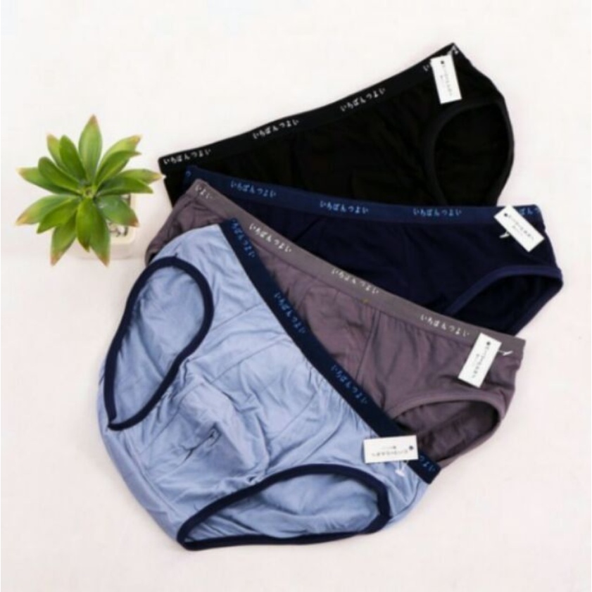 TÚI 2 Quần lót nam , quần sịp tam giác cao cấp chất Cotton kháng khuẩn co giãn 4 chiều LOTNAM02