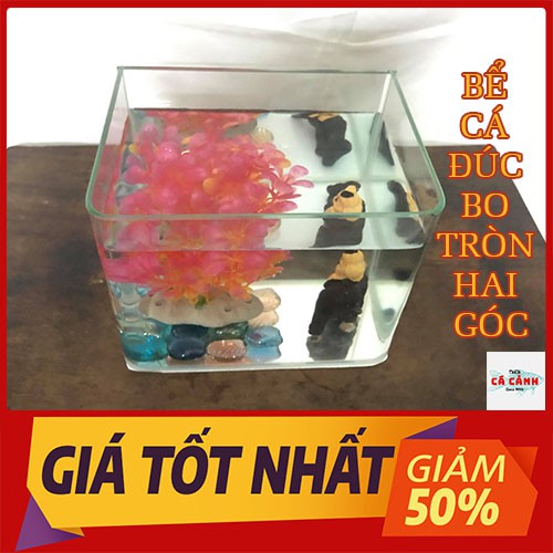 Bể Cá Cảnh Đúc Mini Để Bàn ( 20cm x 13cm x 16cm) Bo Tròn Hai Góc Cao Cấp