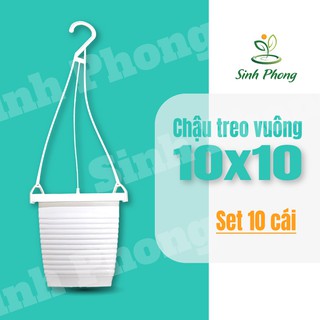 Chậu treo hình vuông 10x10 - 10 cái