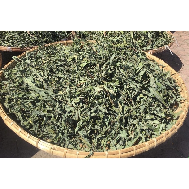 1kg Bồ Công Anh thanh nhiệt, hỗ trợ u bướu, tắc tia sữa