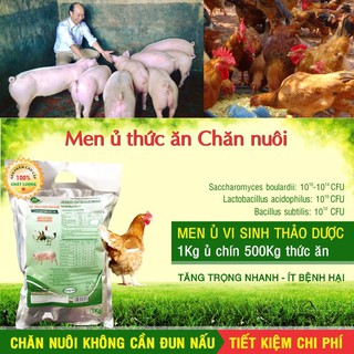 Men ủ vi sinh thảo dược – Ủ chín Thức ăn chăn nuôi