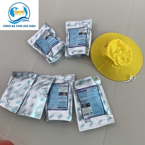 AEC COPEFLOC- MEN VI SINH CHUYÊN GÂY NGUỒN THỨC ĂN TỰ NHIÊN
