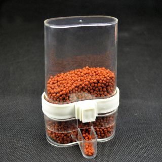 2 cóng ăn uống tự động cho chim