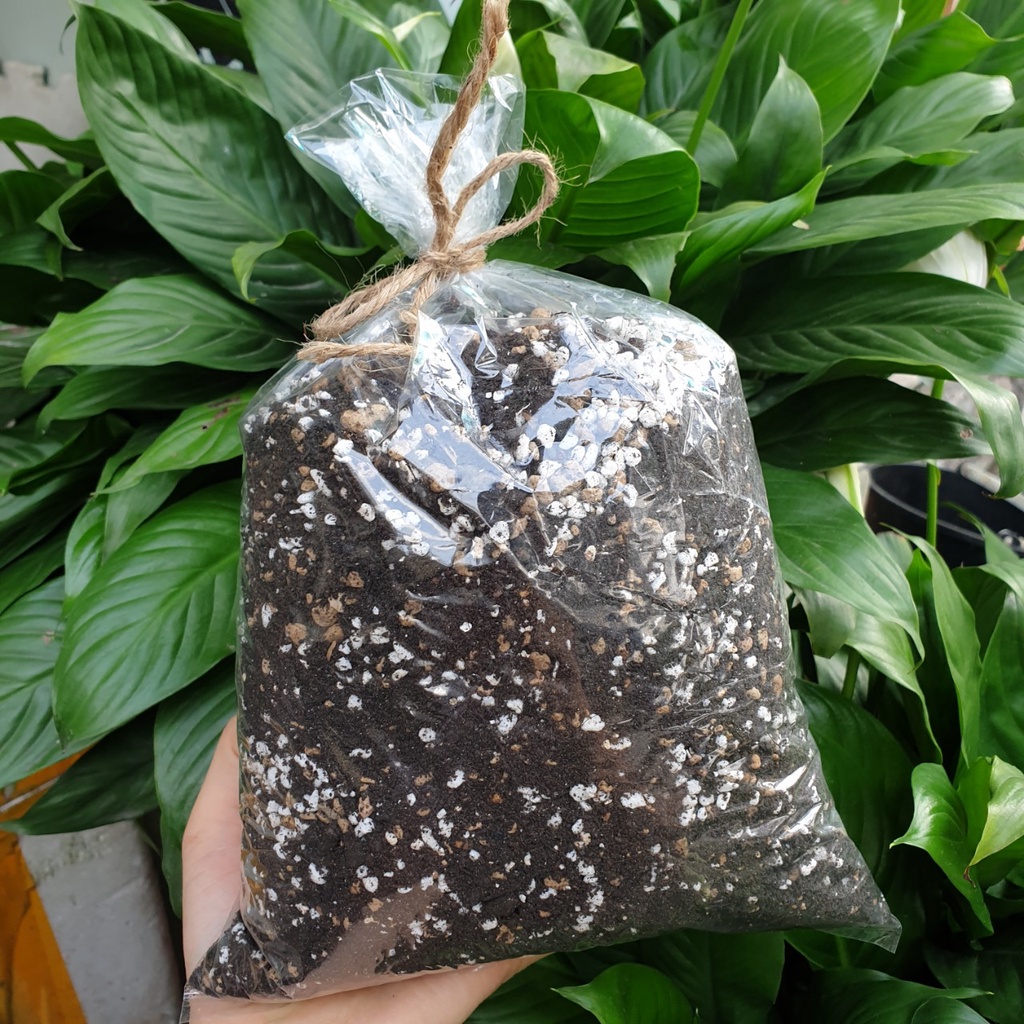Đất trồng sen đá, xương rồng 1kg 🔥FREE SHIP🔥 siêu phẩm trồng sen đá, xương rồng