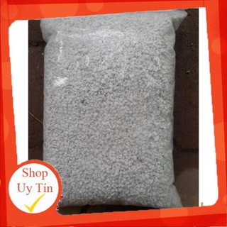 ĐÁ PERLITE- ĐÁ TRÂN CHÂU GÓI 5dm3 (250-300g)