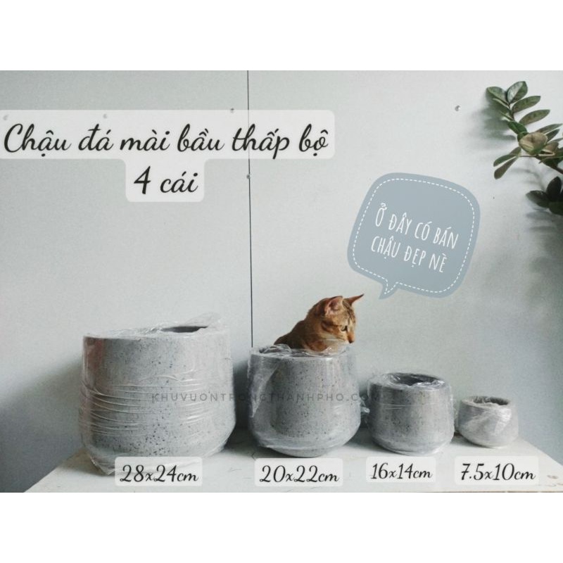 Chậu đá mài bầu thấp màu xám ( bộ gồm 4 cái)