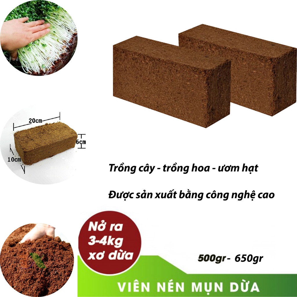 Đất trồng cây hữu cơ giàu chất dinh dưỡng, viên nén mụn xơ dừa cải tạo đất tơi xốp, làm giá thể hoa cây cảnh rau củ quả