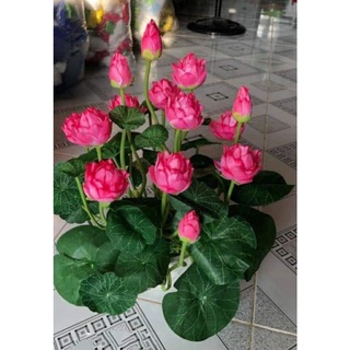 Cành sen thái mini- sen giả, sen trang trí-decor cành dài 40cm đẹp mắt và sang trọng