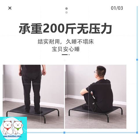 Giường chó mèo khung sắt chịu lực có thể gấp gọn loại có lưới thông thoáng cho chó mèo và các loại thú cưng