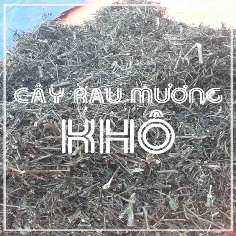 1Kg Cây rau mương khô hỗ trợ đau dạ dày, HP, thanh nhiệt giải độc cơ thể