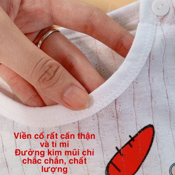 Quần Áo Trẻ Em,Bộ Hè Bé Trai,Bé Gái,Đồ Bộ Bé Gái Mùa Hè Hàng Xuất Hàn 5-15 Kg