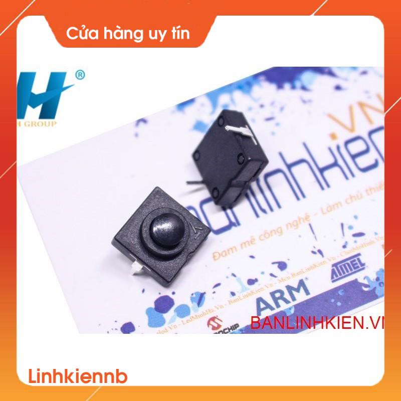 Công Tắc Đèn Pin 2P CT-1212