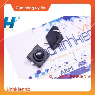 Công tắc đèn pin 2p ct-1212