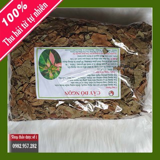 Cây thành ngạnh,cây đỏ ngọn tăng tuần hoàn não, ngừa xơ vữa động Cty Thảo Dược Số 1