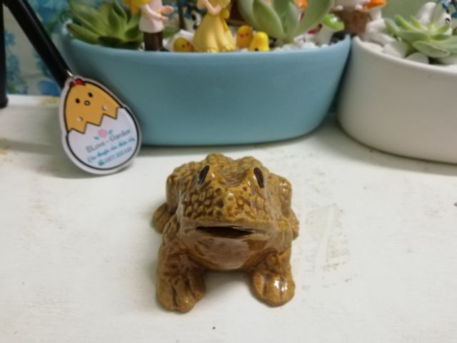 [GIÁ SỐC - GIẢM 30%]Phụ kiện trang trí bể cá -  Ếch con làm tiểu cảnh trang trí, mô hình, phụ kiện chăm sóc thú cưng của