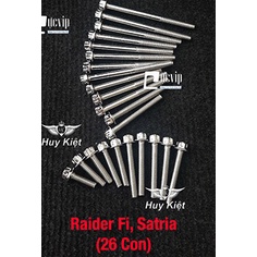 Bộ Ốc Lốc Máy Salaya Inox 304 Cho Raider Fi, Satria (26 Con) MS4897