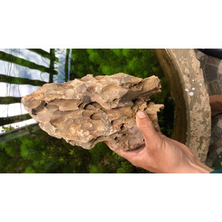 Đá Tiger 1 Kg - Đá Trang Trí Bể Thủy Sinh