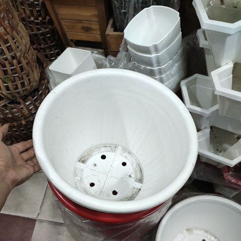 chậu nhựa trồng cây