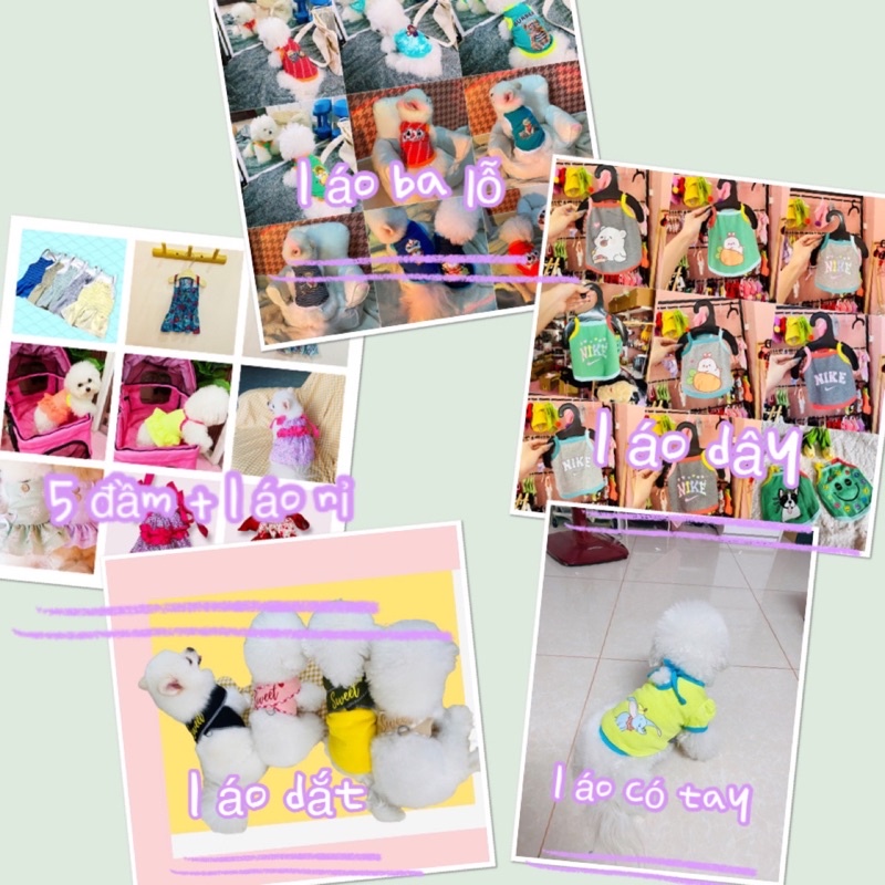 COMBO SIÊU SỐC 259k 10C ÁO THÚ CƯNG ĐÁNG YÊU THỜI TRANG CHÓ MÈO