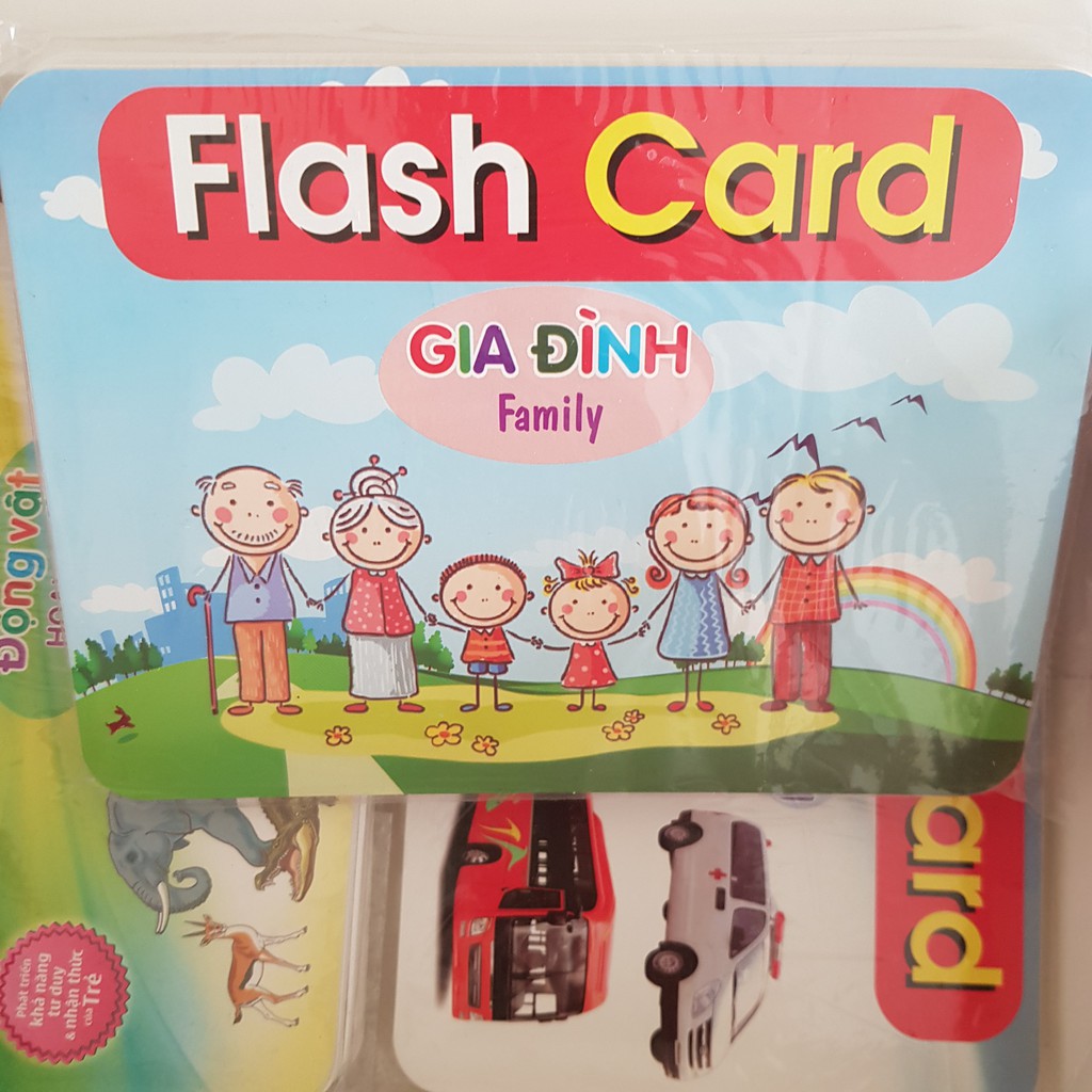 Thẻ học thông minh 19 chủ đề TGXQ mẫu mới nhất 290 thẻ KT 12x16cm