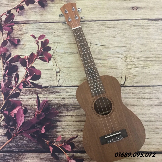 (SIÊU RẺ) ĐÀN UKULELE HOẠ TIẾT ÂM SIÊU HAY